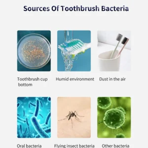 Intelligent Disinfection UVC Toothbrush Sterilizer with Five Toothbrushes Holder