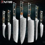 Professional 6Inch Boning Fillet Knife,Damascus Japanese 67 Layer Sharp Flexible Blade Kitchen Chef Knives