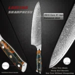 Professional 6Inch Boning Fillet Knife,Damascus Japanese 67 Layer Sharp Flexible Blade Kitchen Chef Knives
