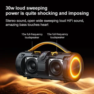Portable Wireless Outdoor Indoor Karaoke Bluetooth Speaker for Home Theater System for Camping and Party