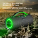 Portable Wireless Outdoor Indoor Karaoke Bluetooth Speaker for Home Theater System for Camping and Party