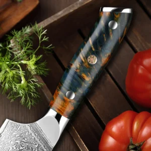 Professional 6Inch Boning Fillet Knife,Damascus Japanese 67 Layer Sharp Flexible Blade Kitchen Chef Knives
