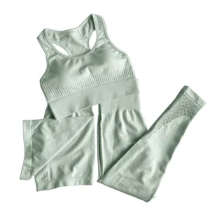 Fitness & Yoga Wear Women Seamless Leggings Shorts and Bra Crop Top 3 Pcs Yoga Set