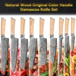 Natural Wood Handle 7 Inch 67 Layers VG10 Japanese Damascus Steel Boning Knife Fish Filleting Knives with Lifetime Guarantee