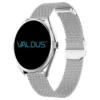 silver Steel Strap