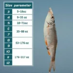 50-1600Pcs/Box Fishing Hooks Carbon Steel Strong Sharp Silver Circle Fish hook 3#-12# Jig Barbed Pesca Portable Lure Bait Tackle