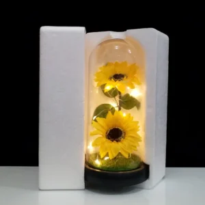 Mothers Day Rose Gifts for Mom, Galaxy Glass Rose Forever Eternal Crystal Flower Light Up Rose in Glass Dome with Butterfly Moth