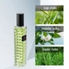 Casual Miss 30ML