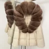Beige zidiao