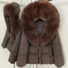 Brown ZX zidiao