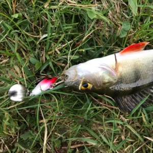 OUTKIT New Metal Mini VIB With Spoon Fishing Lure Fishing Tackle Spinner Sinking Bait