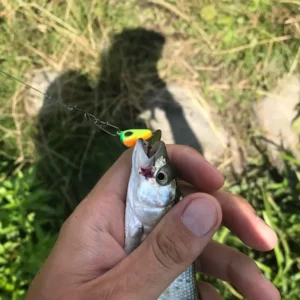 OUTKIT New Metal Mini VIB With Spoon Fishing Lure Fishing Tackle Spinner Sinking Bait