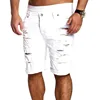 Fashion Men Boy Skinny Runway Straight Short Casual Denim Pants Runway Straight Destroyed Ripped Jeans Shorts